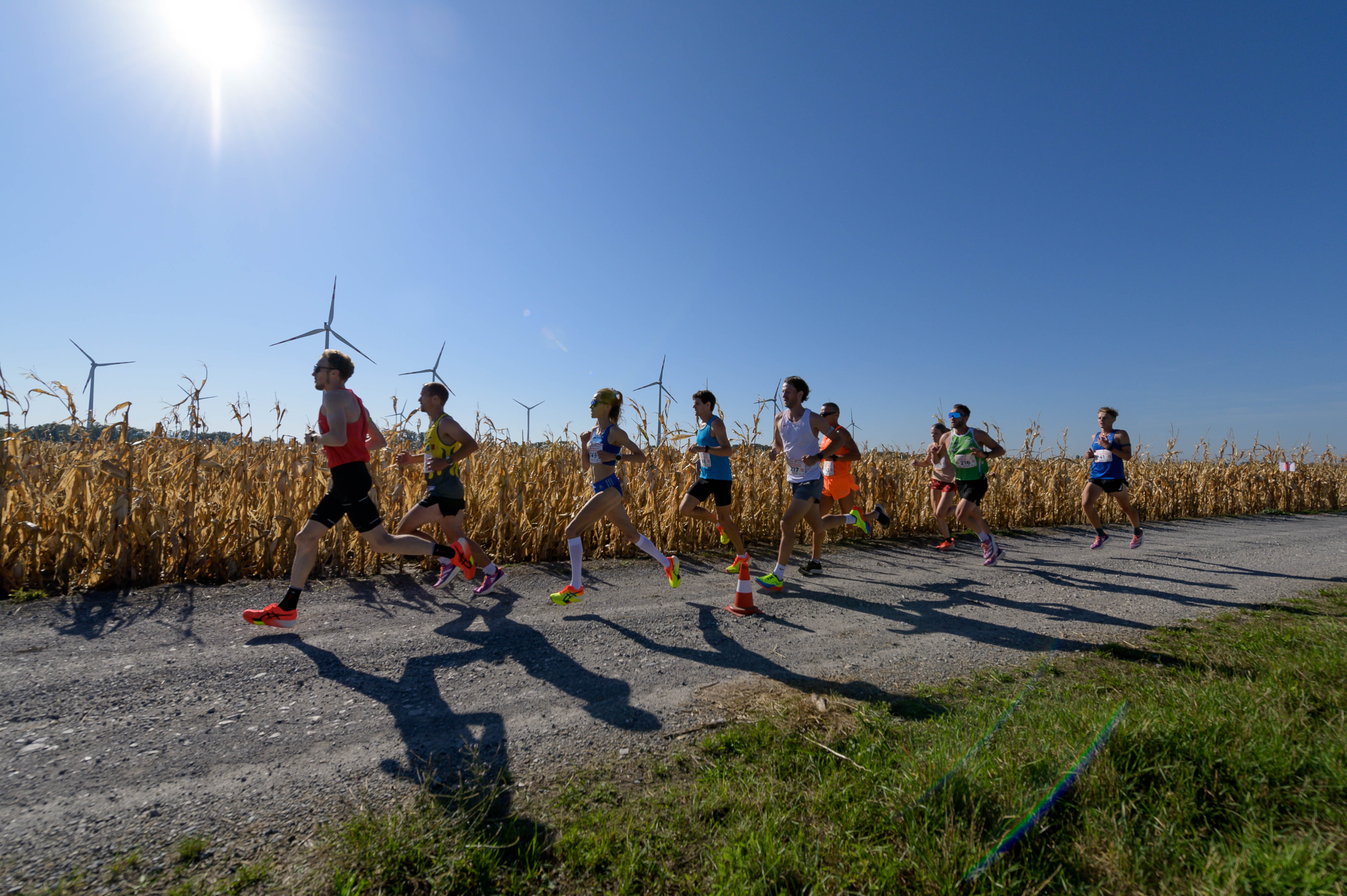 Windpark Run 2024 mit ÖM Straßenlauf